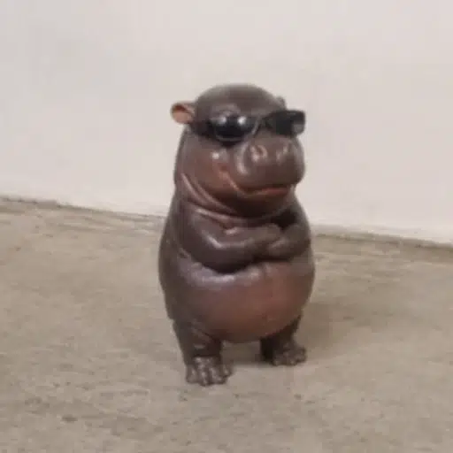 hip
