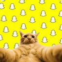 SNAPCAT