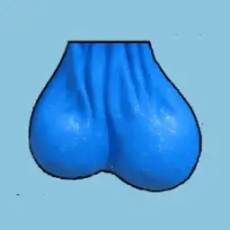testicles