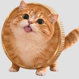 COINCAT logo