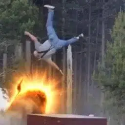Bisonman
