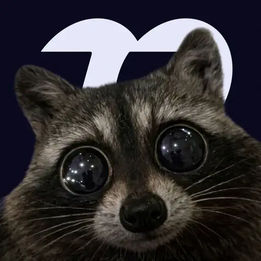 Raccoon