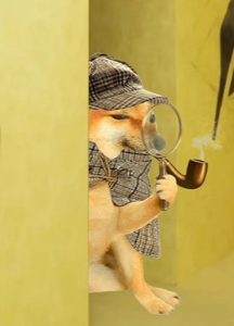 PIPEDOG