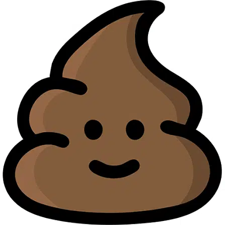SHIT