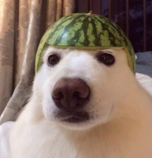 MELON logo