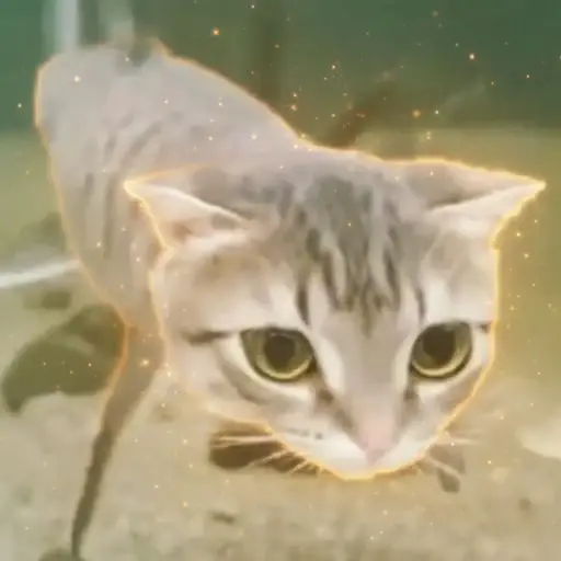 catfish