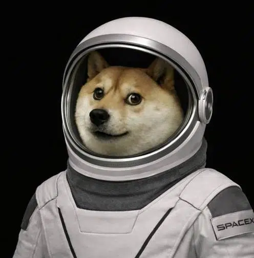 DOGE-1