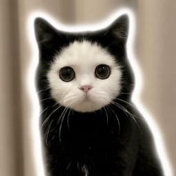 Mochi