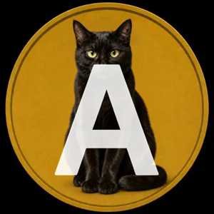 Aime