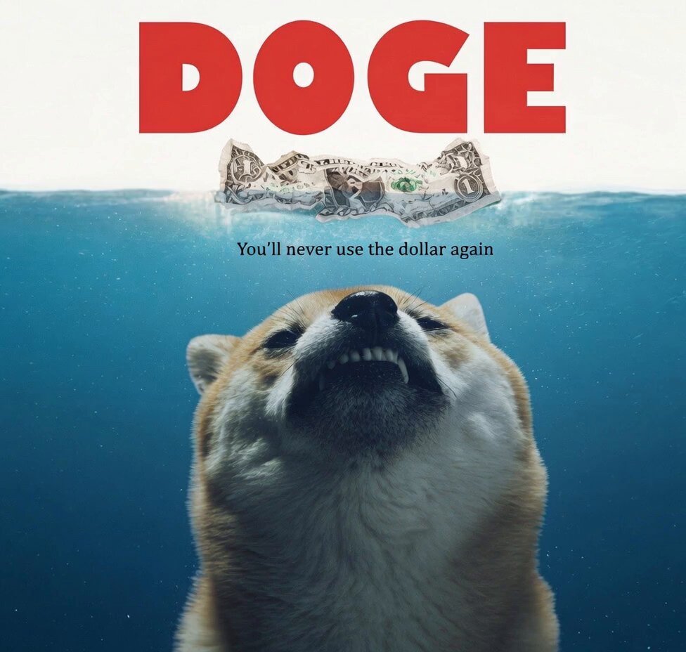 DOGESHARK
