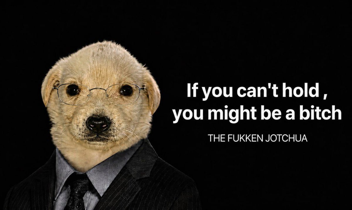 BITCH — If you can't hold you might be a Solana token traded by KOLs