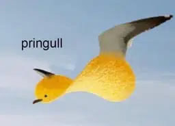 pringull