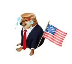 cheemsnald