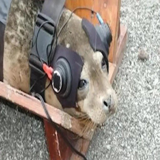 SPACESEAL