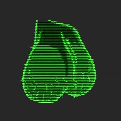 BOLLOCKS logo