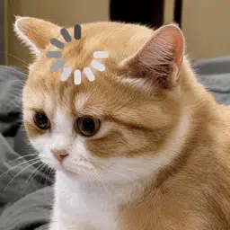 Confused