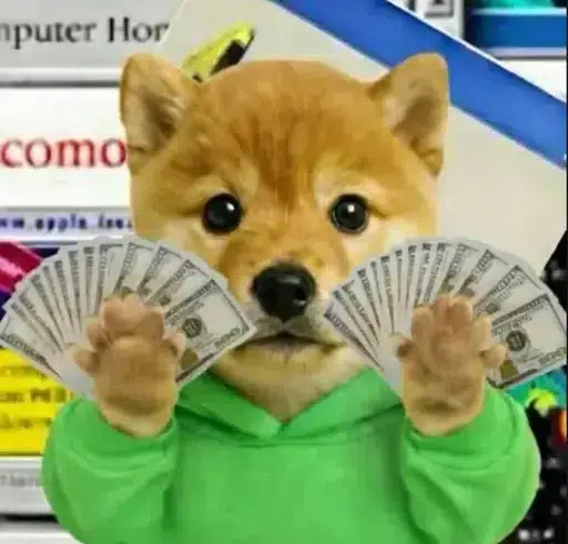 IPO