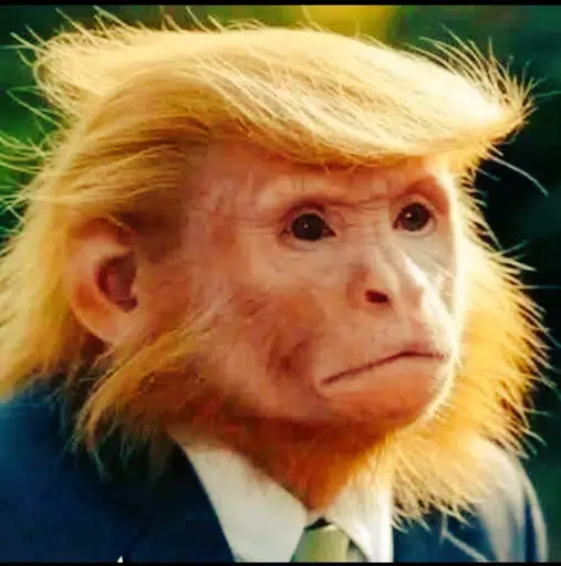 Chimpnald
