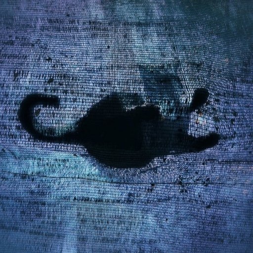 QUANTCAT