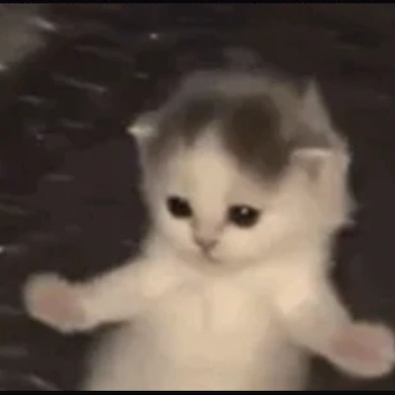 GIFCAT logo