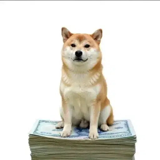 Cashdoge