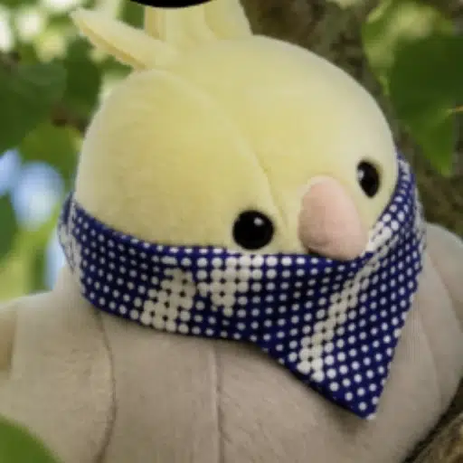 LILGUY