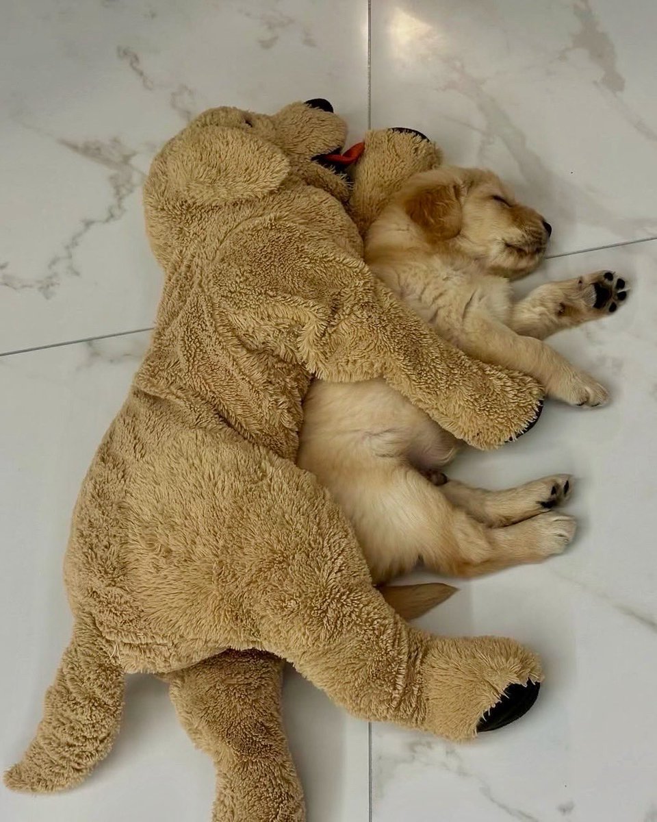 Simba