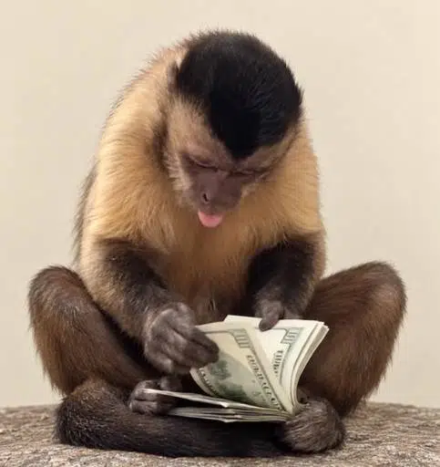 profits
