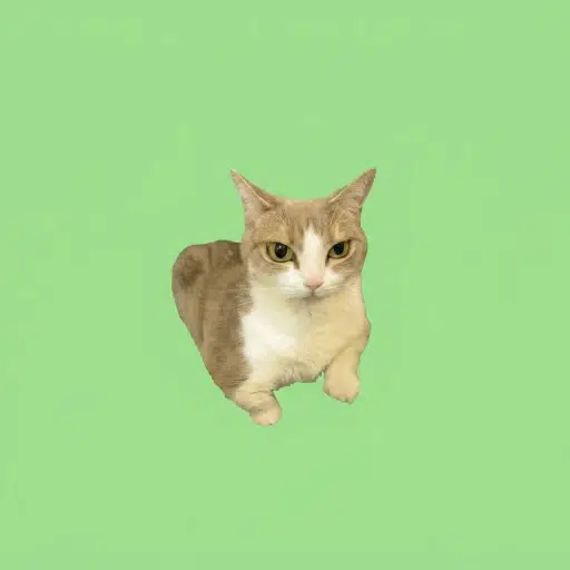 lulu