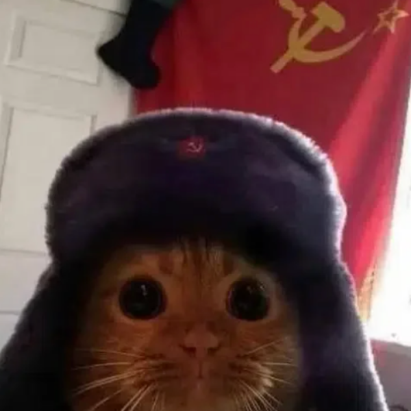 кот