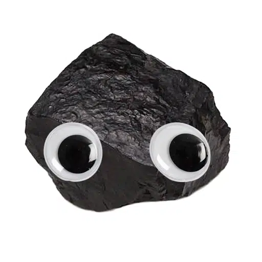COAL