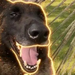 DIH