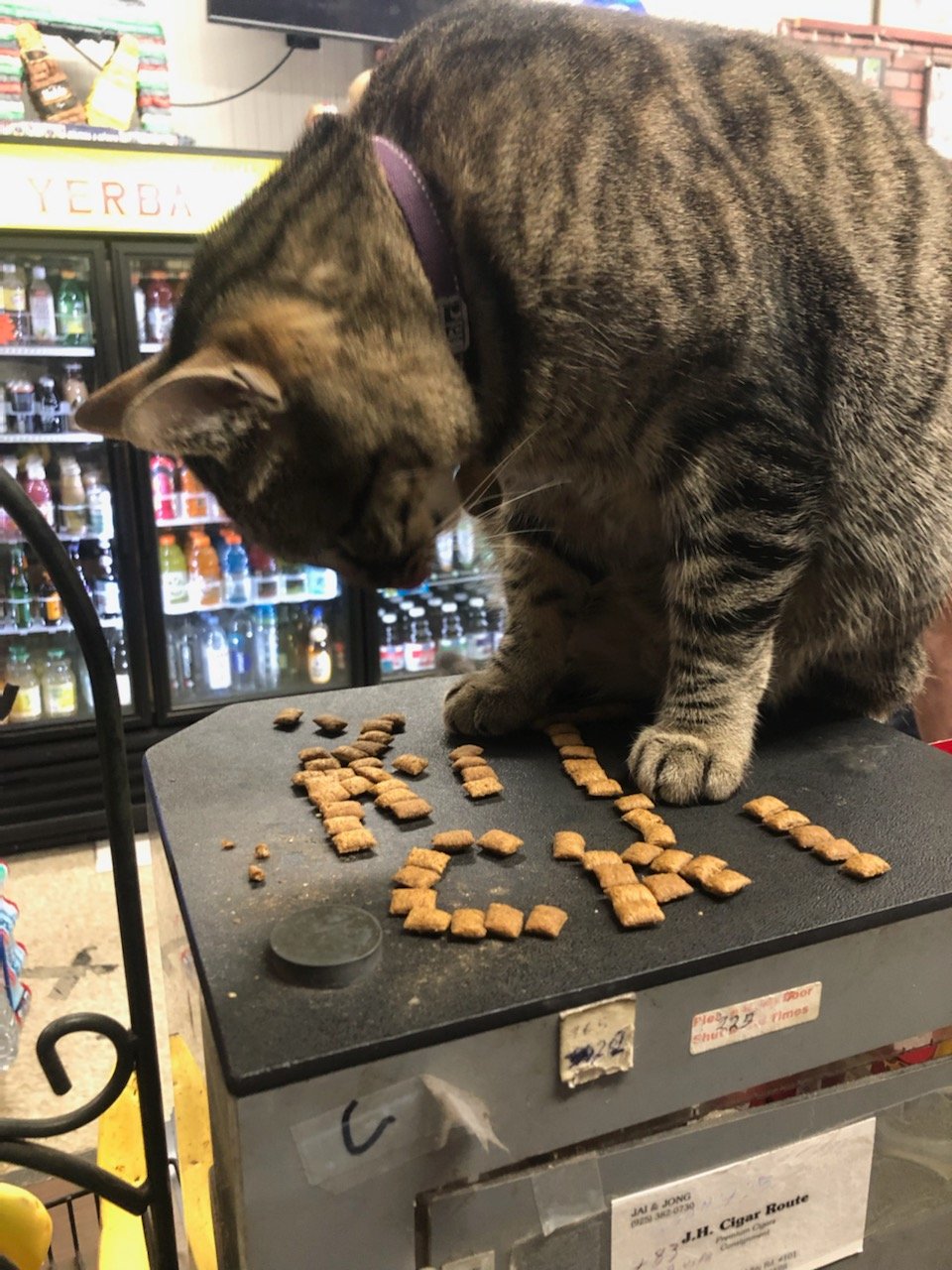 kitkat