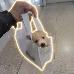 DIH