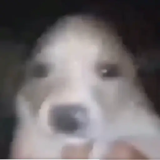 Pedro
