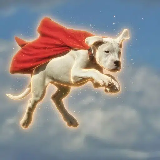 Krypto