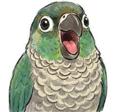 ロト