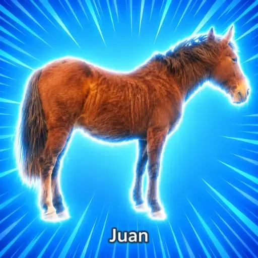 Juan
