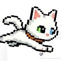 Pixel
