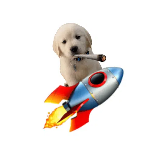 LAUNCHDOG