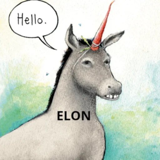 Elon