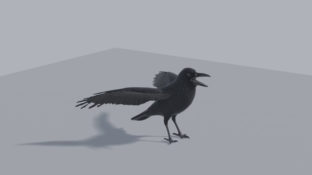 CROW