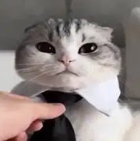 MUU