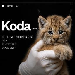 KODA