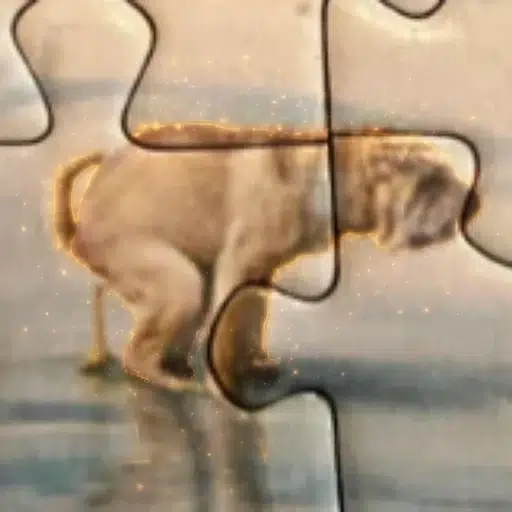 PTSD