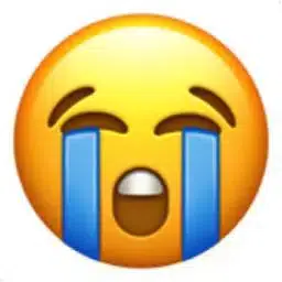 😭