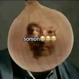 $sonion token logo