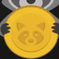 raccoins