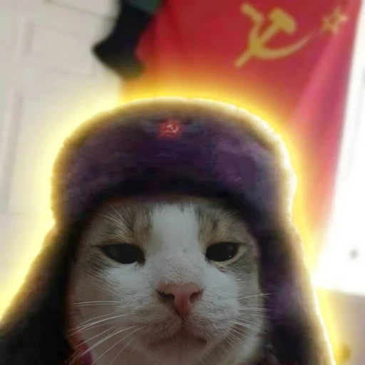 comrade