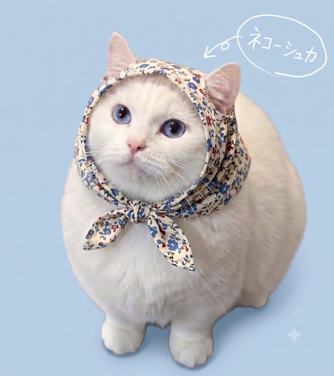 NEKOSHKA